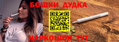 крисы Кингисепп