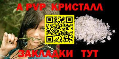 крисы Кингисепп