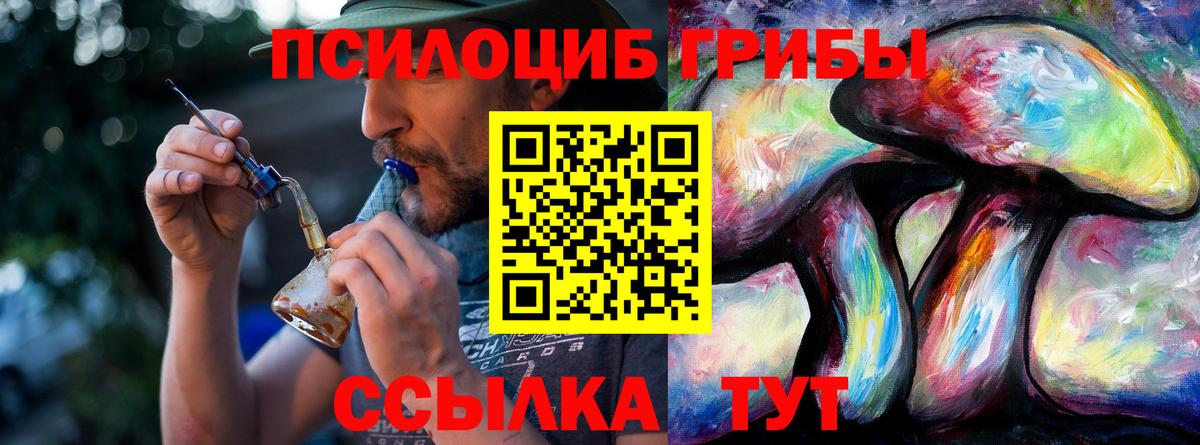 Галлюциногенные грибы мухоморы Кузнецк